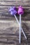 Paper tulips on wooden table spring concept