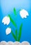 Paper white tulip blue background