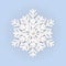 Paper white volumetric snowflake