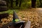 Paper witch hat stands on a bench in an autumn park and fallen leaves around