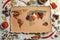 Paper with world map made of different aromatic spices on gray background