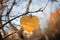 paper yellow nameplate-heart on a tree, place for text or copy space with sunlight. Valentine's day.