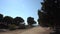 Paphos, Cyprus - September 2021: View of the Tombs of the Kings. Ruins of the old city, archaeological excavations of the Tsar`s