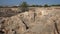 Paphos, Cyprus - September 2021: View of the Tombs of the Kings. Ruins of the old city, archaeological excavations of the Tsar`s