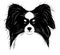 Papillon dog breed pet vector tattoo