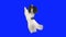 Papillon dog dancing on its hind legs on a blue hromakey slow motion stock footage video