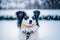 Papillon dog. Portrait of a beautiful Papillon dog playing in the park. Generative AI