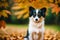 Papillon dog. Portrait of a beautiful Papillon dog playing in the park. Generative AI