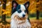 Papillon dog. Portrait of a beautiful Papillon dog playing in the park. Generative AI