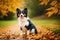 Papillon dog. Portrait of a beautiful Papillon dog playing in the park. Generative AI