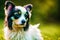 Papillon dog. Portrait of a beautiful Papillon dog playing in the park. Generative AI