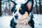 Papillon dog. Portrait of a beautiful Papillon dog playing in the park. Generative AI