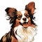 Papillon dog portrait over white background