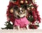 Papillon sitting in front of a Christmas tree