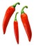 Paprika chile peppers, whole pods, paths