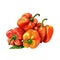 Paprika. Realistic close-up illustration of fresh vegetable, isolated on white background. Generative AI