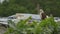 Papuan falcon on a roof-top, Moresby slum village