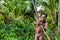 The Papuan from a Korowai tribe aims for shoots an archer. Korowai kombai (Kolufo) with bow and arrows