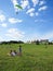 Parachute competition in Vilnius center park