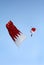 Parachute display team performs before cricket festival at Isa Town, Bahr