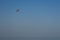 Parachute tandem over the sea against the blue sky