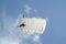 Parachuter with white parachute on parachuting cup seen from below