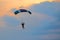 Parachuting sport in sunset sky