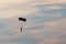 Parachuting sport in sunset sky