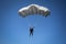 Parachutist