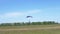 Parachutist Flies on a Paraglider in Blue Sky and Lands on Green Grass. 4K.