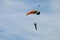 Parachutist with Orange Parachute against Clear Blue Sky