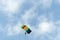 Parachutist and plane