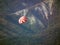 Parachutist on a red and white parachute descends against the backdrop of forest mountains