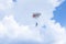 Parachutist in the sky