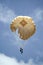 Parachutists jumping athletes