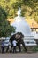 An parade elephant is fed fruit by a man inside the Temple of the Sacred Tooth Relic in Kandy, Sri Lanka.