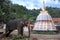 A parade elephant stands near a stupa inside the Temple of the Sacred Tooth Relic in Kandy, Sri Lanka.