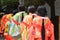 Parade of holy princess Saioh, Kyoto Japan