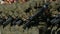 Parade military firearm rifle kalashnikov ak-47 in hand soldier close up 4K.