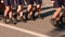 Parade of military women and men legs in the frame marching