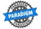 Paradigm stamp. paradigm grunge round sign.