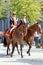 Parading Dutch Royal Guards on Horse