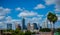 Paradise Austin Texas Skyline Sunny Day Blue Sky with Two Tropical Palm Trees