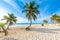 Paradise Beach also called Playa Paraiso at sunrise - beautiful and tropical caribbean coast of Tulum in Quintana Roo, Riviera