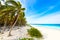 Paradise beach at caribbean coast of Mexico - tropical destination for vacation - relaxing and recreation in paradise