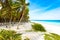 Paradise beach at caribbean coast of Mexico - tropical destination for vacation - relaxing and recreation in paradise