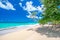 Paradise beach Playa Rincon, considered one of the 10 top beaches in Caribbean, Dominican Republic