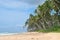 The paradise beaches of Sri Lanka. Sea beach, palm trees, coconuts, white sand, ocean.
