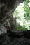 Paradise. Beautiful  - view of lianas and trees and rocks and fern from inside a deep cave in the Dominican Republic