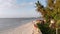 Paradise Coast Resort with Palm Trees and Hotels by Ocean, Zanzibar, Aerial view